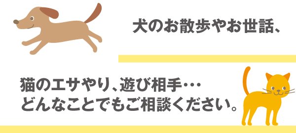 ペットのお世話 ペットのお世話