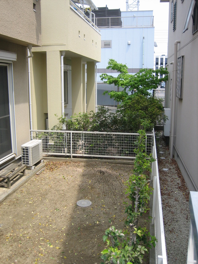 木の伐採after 木の伐採after
