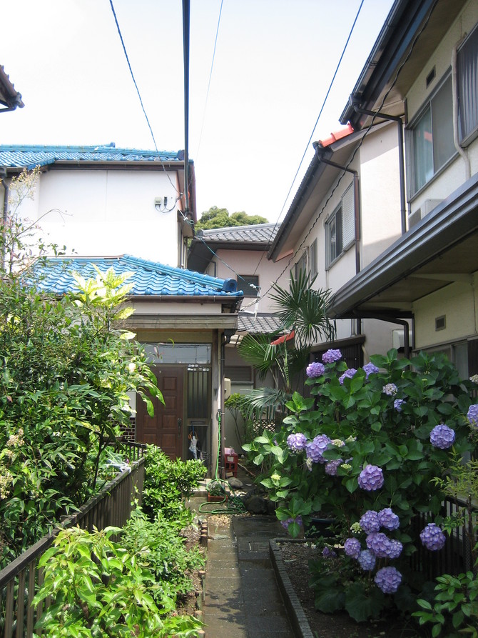 木の伐採after 木の伐採after