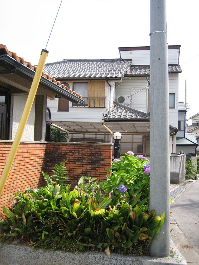 木の伐採after 木の伐採after