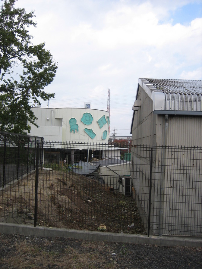 木の伐採after 木の伐採after