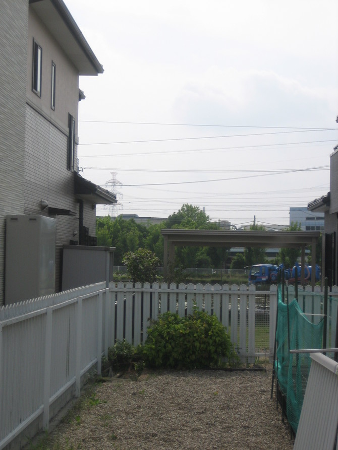 木の伐採after 木の伐採after