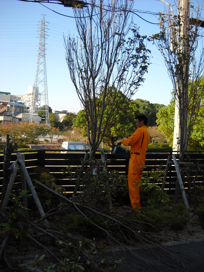 庭のリフォームbefore 庭のリフォームbefore
